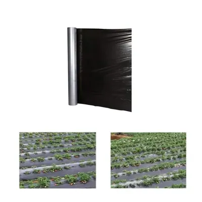 Siddhi Agritech 21 Micron 400 m Black and Silver Mulching Sheet, Suitable for Garden and Agriculture Purposes (Size-(3.25 ft X 400 m))