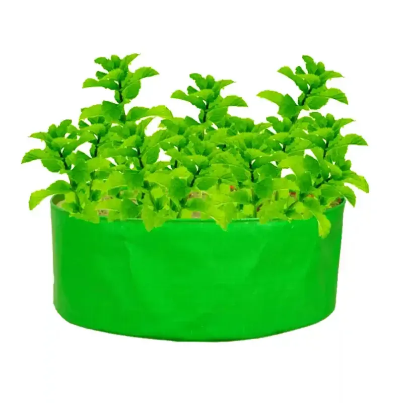 Gardeco 260 GSM UV Treated 24 x 6 Inch Round Type HDPE Grow Bag for Home, Garden and Nursery (Quantity-5 pieces)