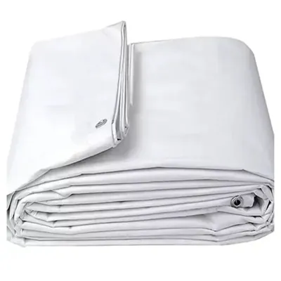 ZN GLOBAL NATION 850 GSM 20 ft x 35 ft Nylon Fabric, PVC Coated, UV Protected, Waterproof Tarpaulin Sheet (Color-White)