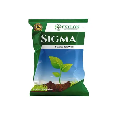 EXYLON Sigma (Sulphur 80% WDG) Contact Fungicide For Fungal Disease Control In Plants, 3 kg