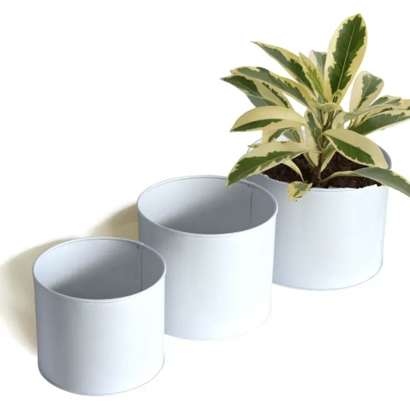 Ecofynd Centuria Metal Flower/Plant Pots of 6.2 Inch, 7 Inch and 8 Inch (Pack of 3, POT025-103-WHT)