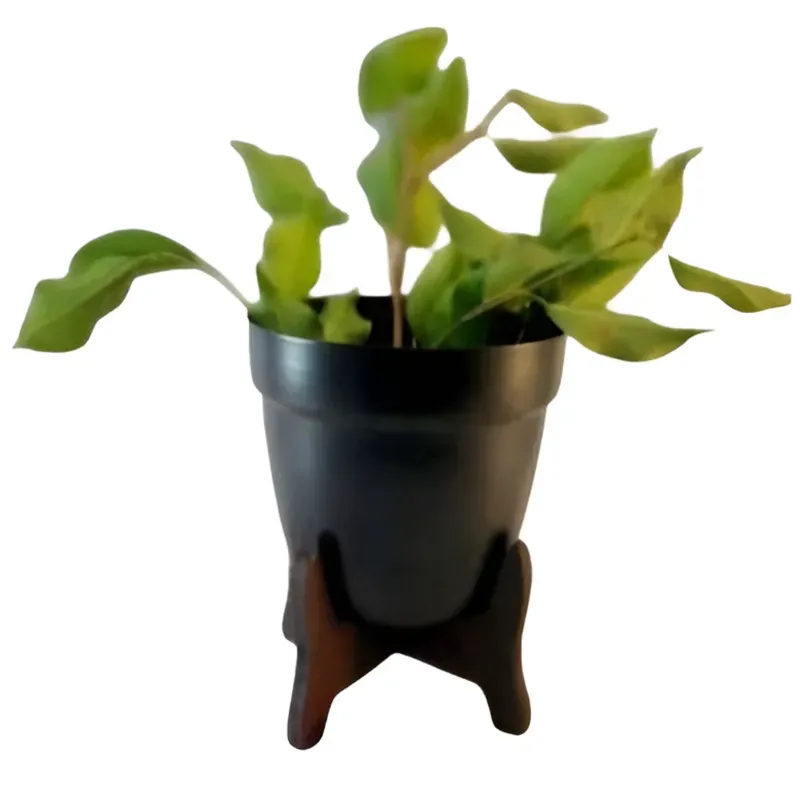 5 Inch Simple and Elegant Metal Planter Pot with Wooden Stand, Used for Home Decoration Purpose