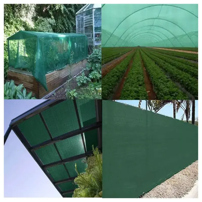 Singhal HDPE Multipurpose Shade Net 50% UV Protection, Agro Green Garden Shade For Home, Lawn, Nursery, Sport Shading (Size-3 x 5 m)