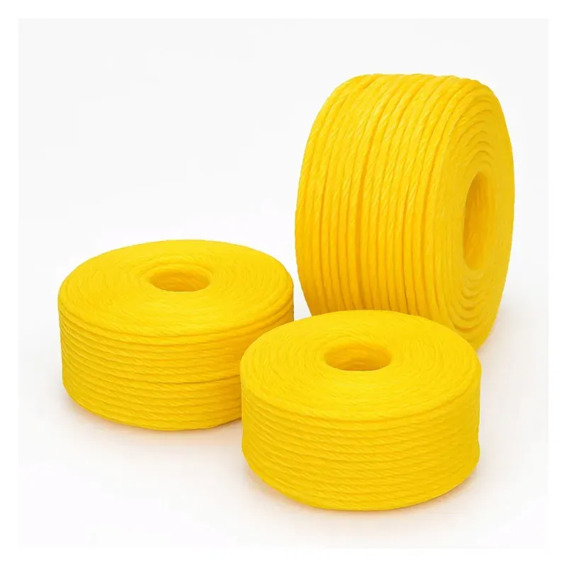 Singhal PP Tuf Rope Heavy Duty Nylon Virgin Plastic Rope, Yellow, 6 mm, Multipurpose Plastic Rope (Size-10 m)