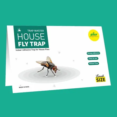 Green Revolution 10 pieces Highly Adhesive Small Size House Fly, Poultry Fly Sticky Trap (Quantity-Pack of 10)