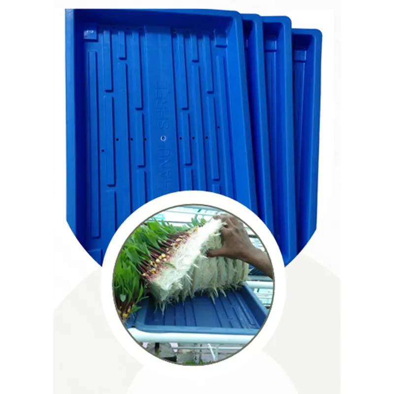 24 x 18 Inch Hydroponics Tray With Water Drainage Holes (Pack-10 pieces)