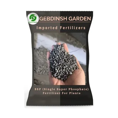 GEBDINSH 2 kg SSP Granules, Strong Roots & Single Super Phosphate (1 Pc)