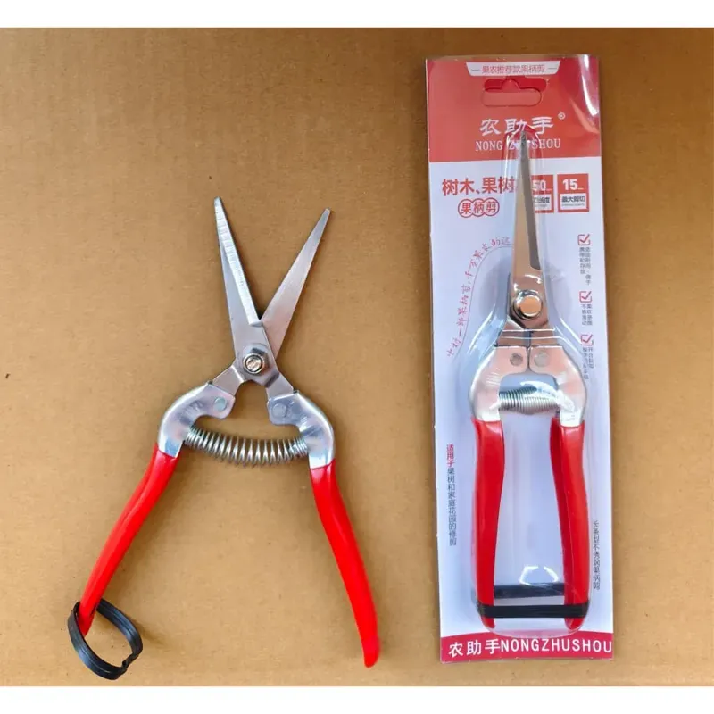 DAP 1609 PGS 13 EA Stainless Steel Flower Shears with Spring Action & Safety Lock for Gardening, Bonsai & Flowers