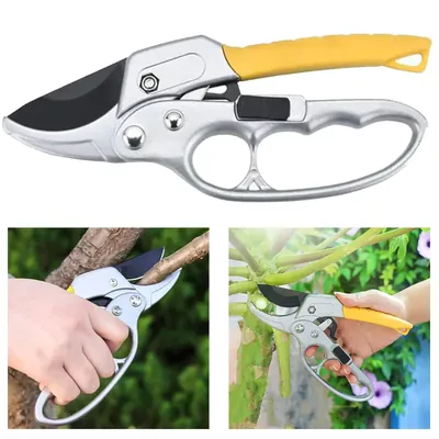 2 Pieces of Stainless Steel Secateurs with Safety Lock for Gardening Purposes