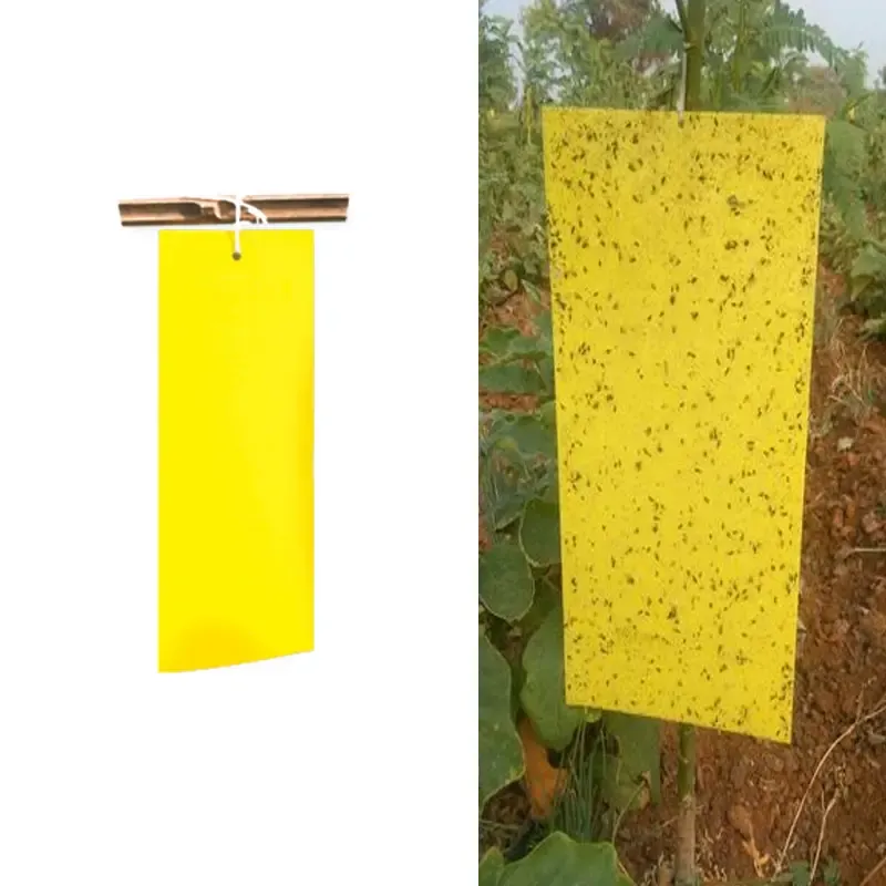 PC Stick-a-Fly Sticky Trap 22 cm x 28 cm (Color-Yellow) (Pack of 100)