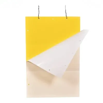 SK AGROTECH 28 x 11 cm 25 pieces Yellow Sticky Pheromone Insect Trap (Quantity-1 bundle)