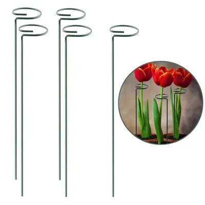 32 Inch Plant Stem Support Metal Stakes, Used for Gardening Purposes (Pack of 5)