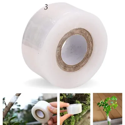 Ecofynd 1 Inch Grafting Stretchable Tape of 100 m for Nursery and Garden (Pack of 2)