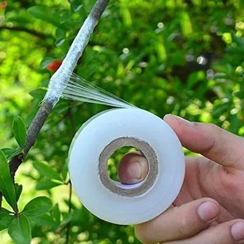RADHE AGRI CENTER 2 Inch x 100 m Stretchable Recyclable Plant Grafting Tape Pack of 2 Transparent Self-Expanding Budding Barrier Film