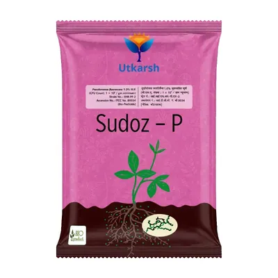 Utkarsh Sudoz-P (Pseudomonas Fluorescens 1.0% W.P.) for Plants, Crops and Home Gardening, 1 kg (Pack-1 x 1 kg)