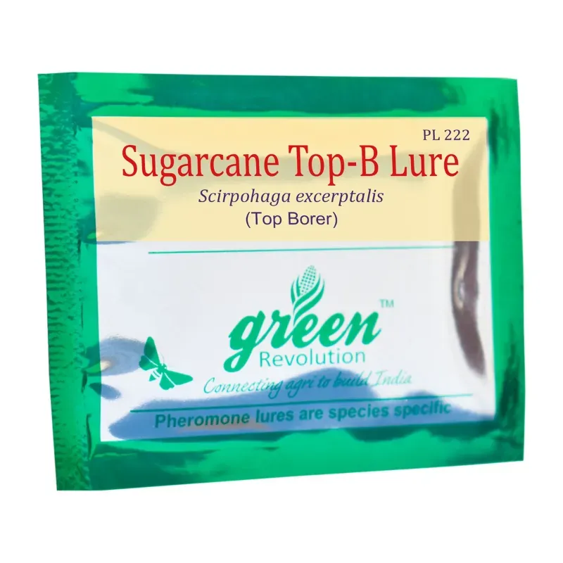 Green Revolution Highly Effective Sugarcane Top-B Lure, Scripophaga Nivella (Quantity-10 packets)