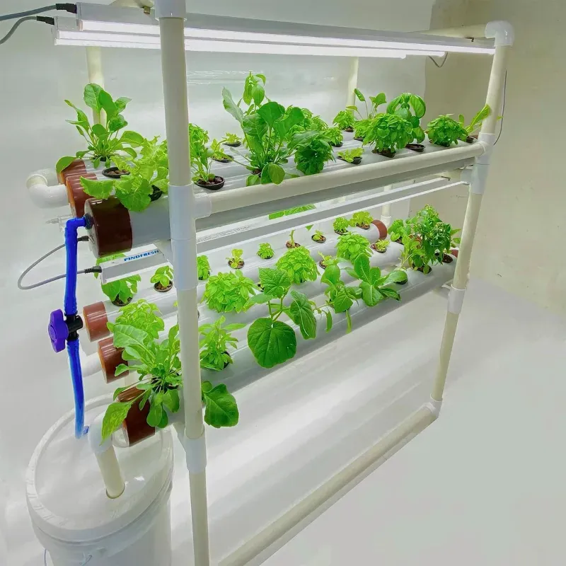 PINDFRESH Hydroponics Kit For Indoor & Outdoor Tashi Junior Set-Up With Grow Lights For Growing Leafy Greens (Standard)