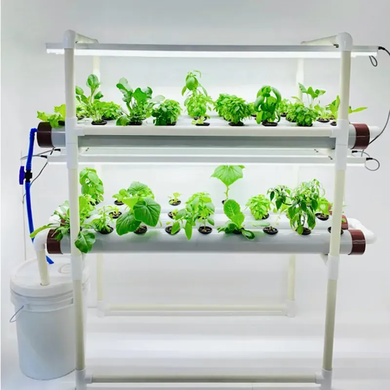 PINDFRESH Hydroponics Kit For Indoor & Outdoor Tashi Junior Set-Up With Grow Lights For Growing Leafy Greens