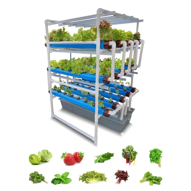 PINDFRESH Hydroponics Kit For Indoor & Outdoor Tashi Pro Set-Up With Grow Lights For Growing Leafy Greens