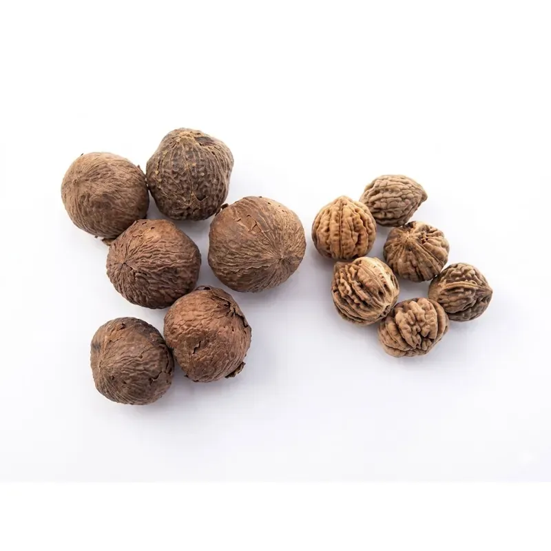 Pioneer Agro Tectona Grandis Teakwood Tree Seed, (1 kg)
