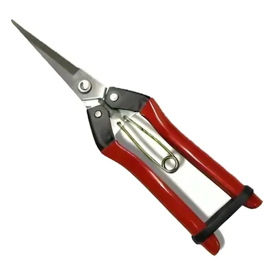 Orezen GT-021 Fruit & Flower Shear Used for Gardening Purposes