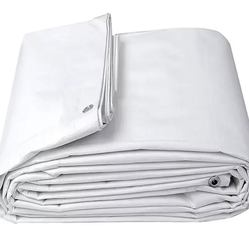 ZN GLOBAL NATION 600 GSM 36 ft x 30 ft Nylon Fabric, PVC Coated, UV Protected, Waterproof Tarpaulin Sheet (Color-White)