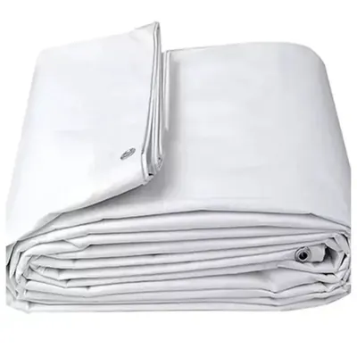 ZN GLOBAL NATION 25 ft x 35 ft Nylon Fabric, PVC Coated, UV Protected, Waterproof Tarpaulin Sheet (Color-White)