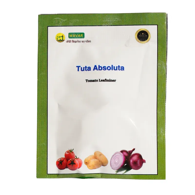 WAVAR Tuta Absoluta Lure (Tomato Leaf Miner), 2 Lures Per Packet (Quantity-5 packets)