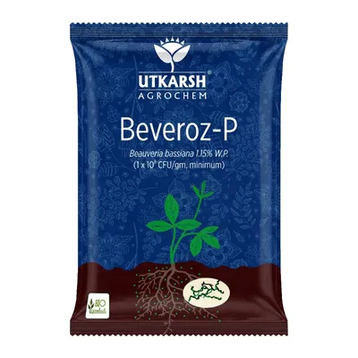 Utkarsh Beveroz-P (Beauveria Bassiana 1.15% W.P. 1 x 10^8 CFU/gm min.) for Plants, Crops, and Home Gardening, 1 kg (Pack-1 x 1 kg)