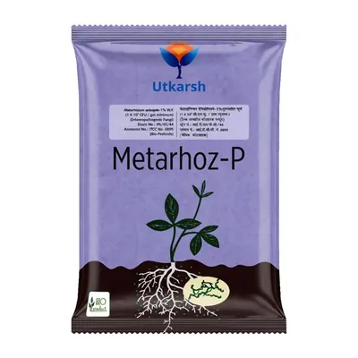 Utkarsh Metarhoz-P (Metarhizium Anisopliae 1% W.P. 1 x 10^8 CFU/gm min.) for Plants, Crops and Home Gardening, 1 kg (Pack-1 x 1 kg)