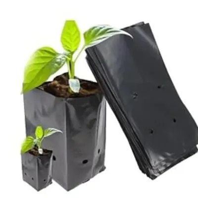 AgriVision 5 x 7 Inch Black Nursery Bags (100 Pcs) UV Coated Plastic Grow Bags for Seedlings, Saplings & Plant Cultivation