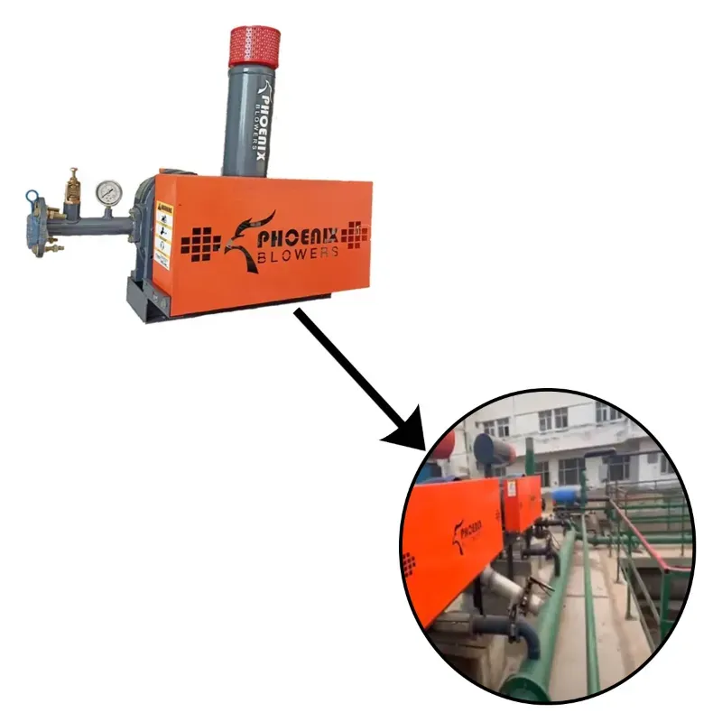 Phoenix 2 HP 3 Phase Aquaculture Blower for Biofloc / Fish Farming Roots Blowers / Electroplating Blower With Lubi Motor
