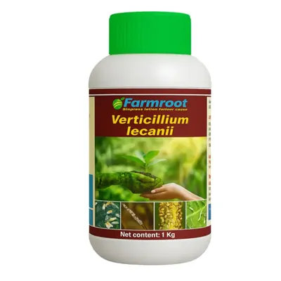 FARMROOT Verticillium lecanii 1.15%WP (Liquid) For Insecticide, 1 kg (Quantity-1 kg)