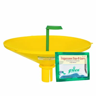 Green Revolution Highly Effective Water Trap with Sugarcane Top-B Lure (Quantity-5 pieces)