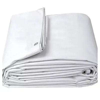 ZN GLOBAL NATION 1000 GSM 30 ft x 15 ft Nylon Fabric, PVC Coated, UV Protected, Waterproof Tarpaulin Sheet (Color-White)