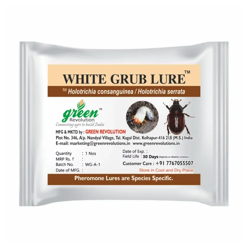 Green Revolution Highly Effective White Grub Insect Lure, H. serrata H consungunia (Quantity-5 packets)