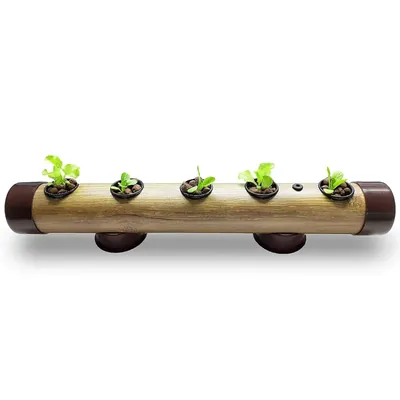 PINDFRESH 5 Plants Hydroponics Kit For Indoor & Outdoor Set-Up (Wood Finish Light)