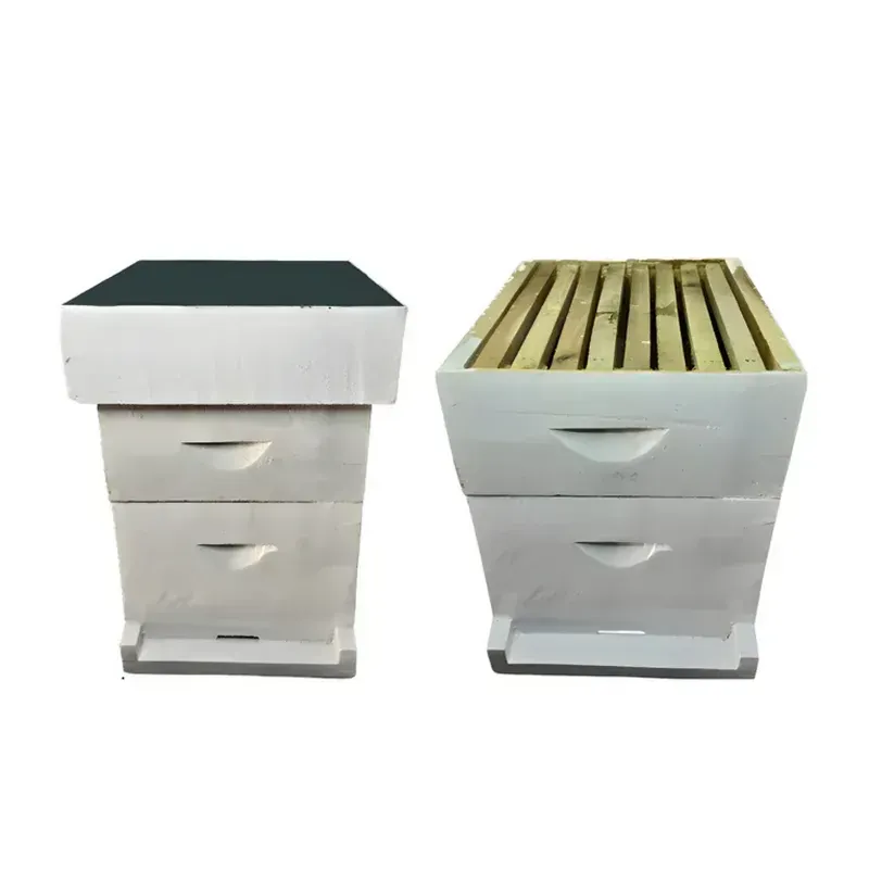 BeeReady Wooden Beehive Box for Apis Cerana & Apis Mellifera Beekeeping and Honey Production With Removable Frames