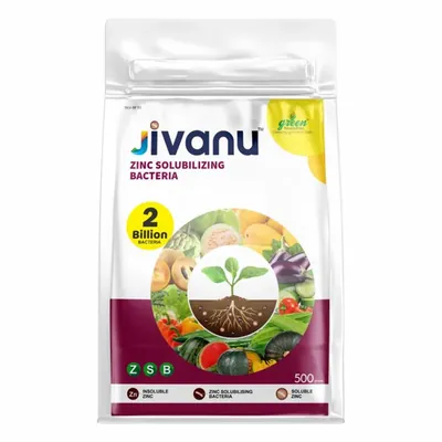 Green Revolution Jivanu 500 g ZSB (Zinc Solubilizing Bacteria)