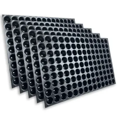Siddhi Agritech 126 Cavities (Round Shape) Reusable Plastic Seedling Tray for Nursery and Gardening (Pack of 100 pieces)