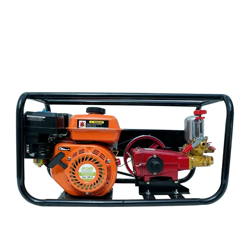 Ralli HTP-22 Sprayer Pump Set With 6.5 HP Petrol Engine, RS65-22