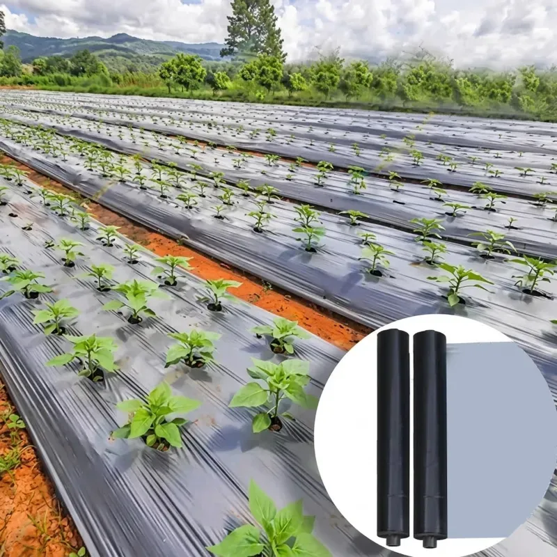 ANIL Mulching Film 25 Micron 4 ft x 400 m, Farm Weed Control, UV Protected & Retains Moisture