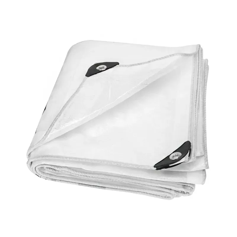 ZN GLOBAL NATION 550 GSM 36 ft x 15 ft Nylon Fabric, PVC Coated, UV Protected, Waterproof Tarpaulin Sheet (Color-White)