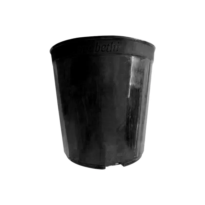 5.5 Inch Plastic Round Flower Pot for Garden (Pack-6 pcs)