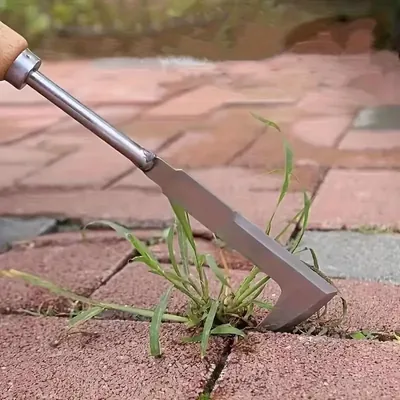 REDBUILD L Share Crack Weeder 12 Inch Stainless Steel Crevice Tool with Wooden Handle for Garden & Patio