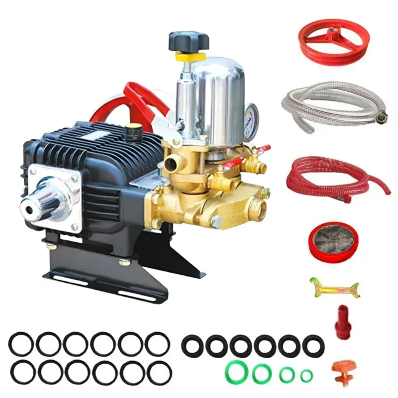 Really RAPL-PS-B3-50, HTP-50 Pump for Agricultural Spraying & Car Washing