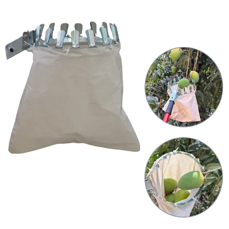 Sakha Agro Lightweight Mango Fruit Picker or Fruit Harvester Without Pole
