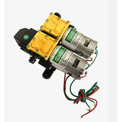 Ralli 12 V DC, 180 PSI Double Motor for Battery Operated Sprayer, RDM 12