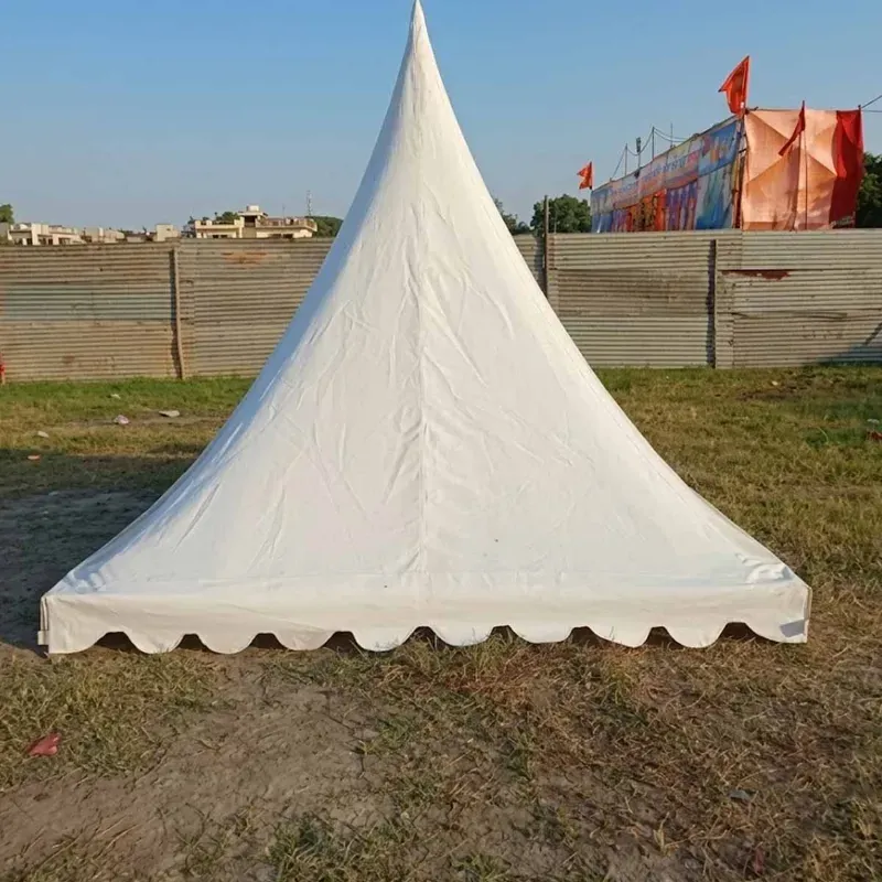 Infotank 10 x 10 ft PVC Coated Fabric Canopy Tent Top Outdoor Shelter Waterproof UV Protection