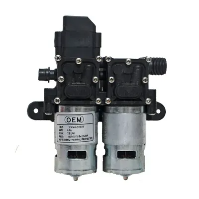 OEM 12 V DC Double Motor Electric Pump With 160 PSI Pressure